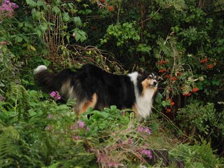 2009-08-14_ntb_4280