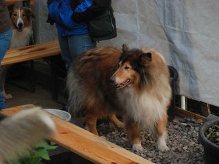 2009-08-14_ntb_4283