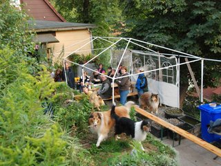 2009-08-14_ntb_4287