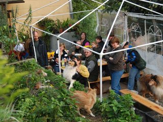 2009-08-14_ntb_4288