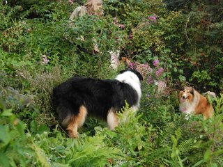 2009-08-14_ntb_4291