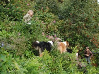 2009-08-14_ntb_4292