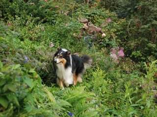 2009-08-14_ntb_4298