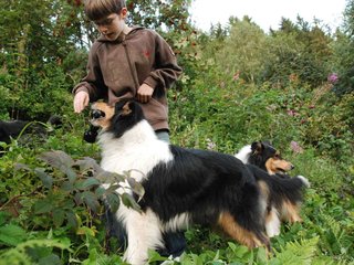 2009-08-14_ntb_4311