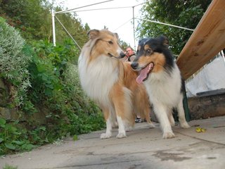 2009-08-14_ntb_4334