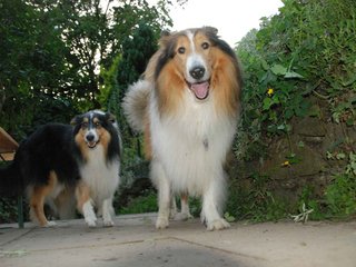 2009-08-14_ntb_4335