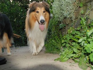 2009-08-14_ntb_4336