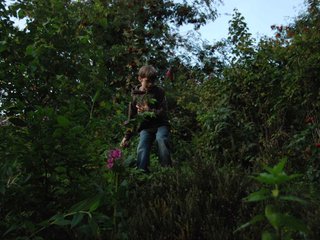 2009-08-14_ntb_4337