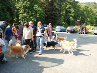 2009-08-15_ntb_4347