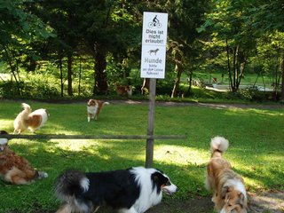 2009-08-15_ntb_4349