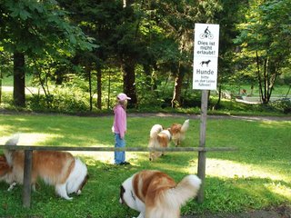 2009-08-15_ntb_4351