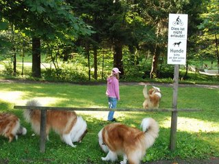 2009-08-15_ntb_4352