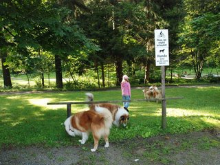 2009-08-15_ntb_4353