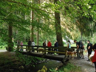 2009-08-15_ntb_4354