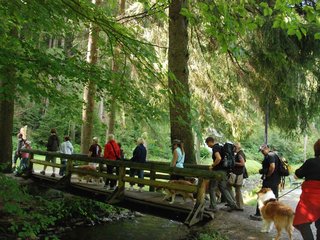2009-08-15_ntb_4356