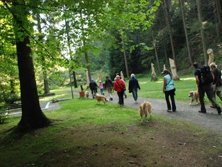 2009-08-15_ntb_4358