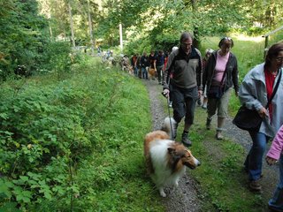 2009-08-15_ntb_4380
