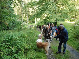 2009-08-15_ntb_4386