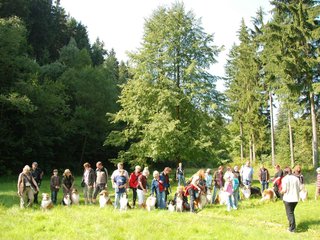 2009-08-15_ntb_4388