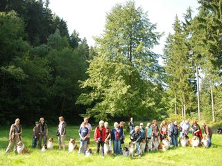 2009-08-15_ntb_4390