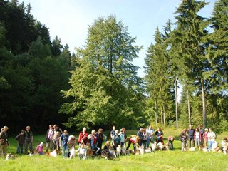 2009-08-15_ntb_4418