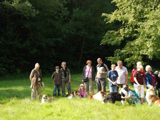 2009-08-15_ntb_4425