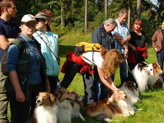 2009-08-15_ntb_4445
