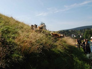 2009-08-15_ntb_4460