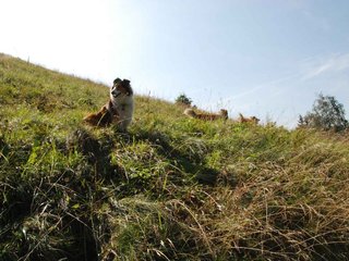 2009-08-15_ntb_4462