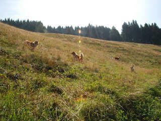 2009-08-15_ntb_4466