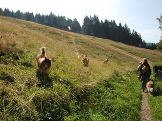 2009-08-15_ntb_4469