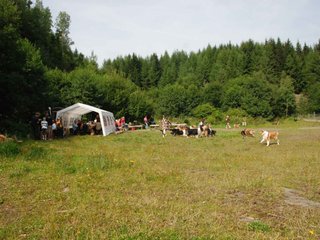 2009-08-15_ntb_4473