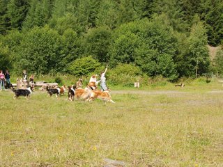 2009-08-15_ntb_4474