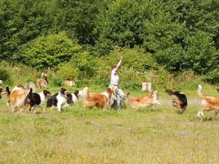 2009-08-15_ntb_4475