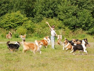 2009-08-15_ntb_4478