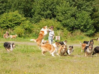 2009-08-15_ntb_4479