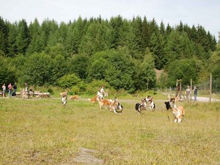 2009-08-15_ntb_4480