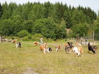 2009-08-15_ntb_4481