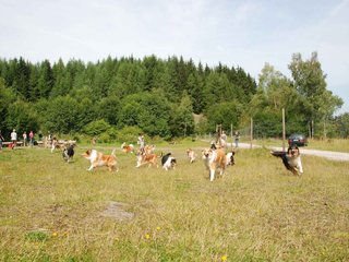 2009-08-15_ntb_4482