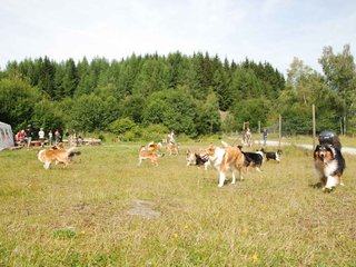 2009-08-15_ntb_4483
