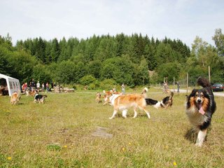2009-08-15_ntb_4484