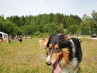 2009-08-15_ntb_4485
