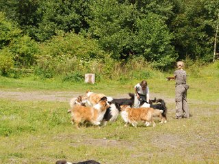 2009-08-15_ntb_4486