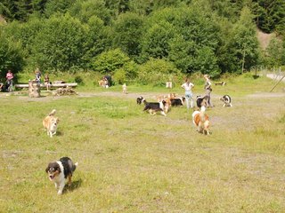 2009-08-15_ntb_4487