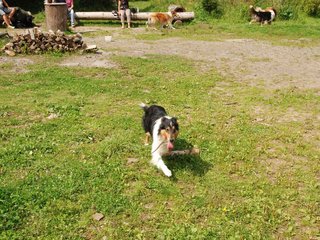 2009-08-15_ntb_4488