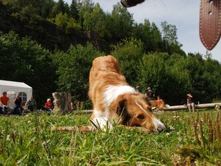 2009-08-15_ntb_4489