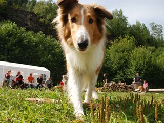 2009-08-15_ntb_4490