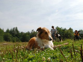 2009-08-15_ntb_4491