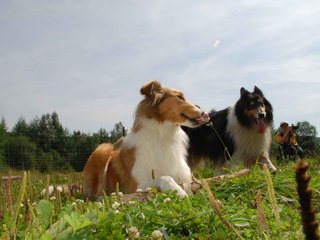 2009-08-15_ntb_4492