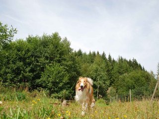 2009-08-15_ntb_4493